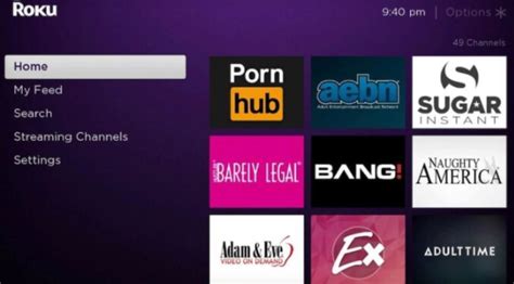 pornhub channel roku|How to Watch Porn on Roku In 2024